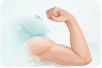 ⁠Membre supérieur