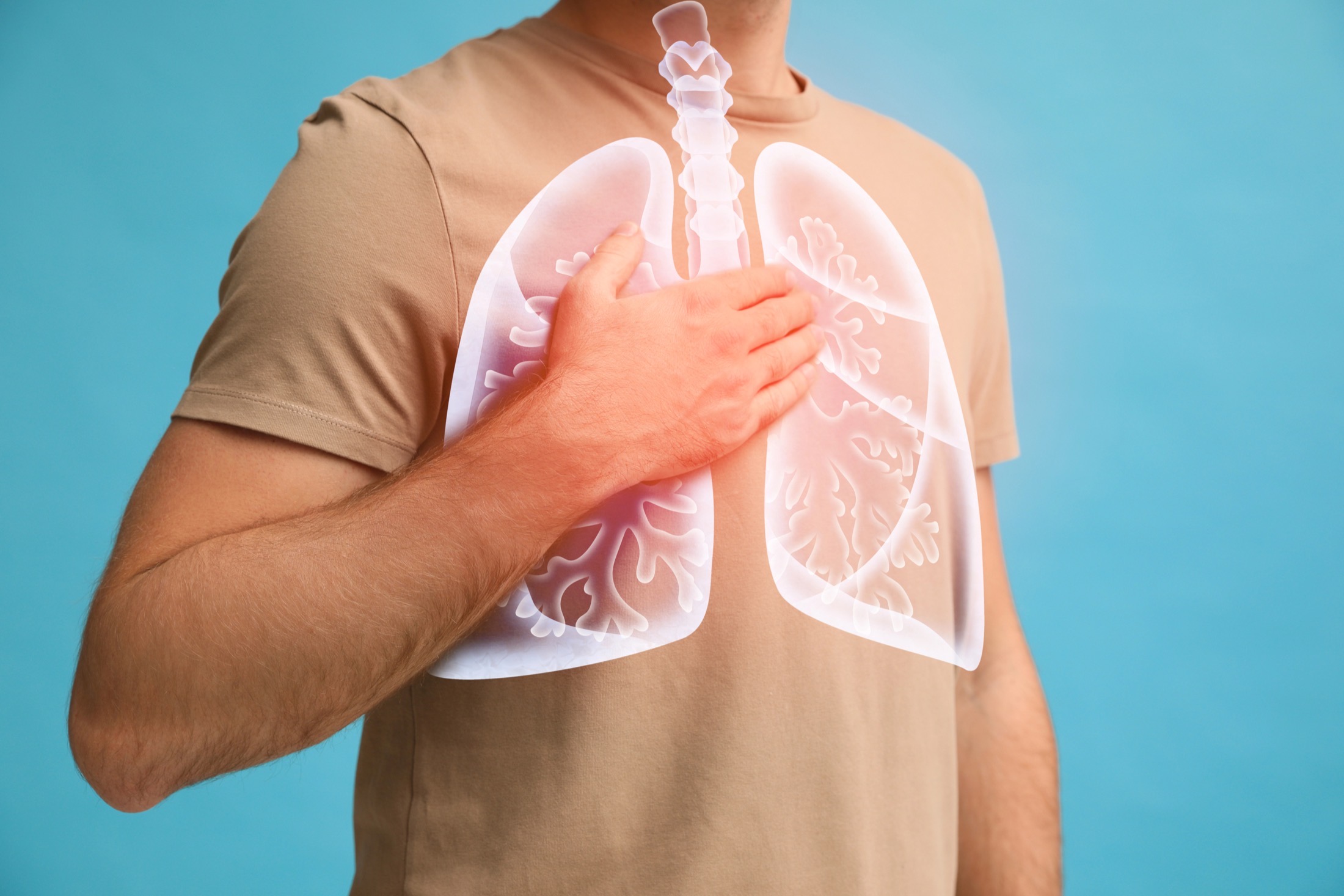 Poumons illustrant une respiration perturbée par le stress