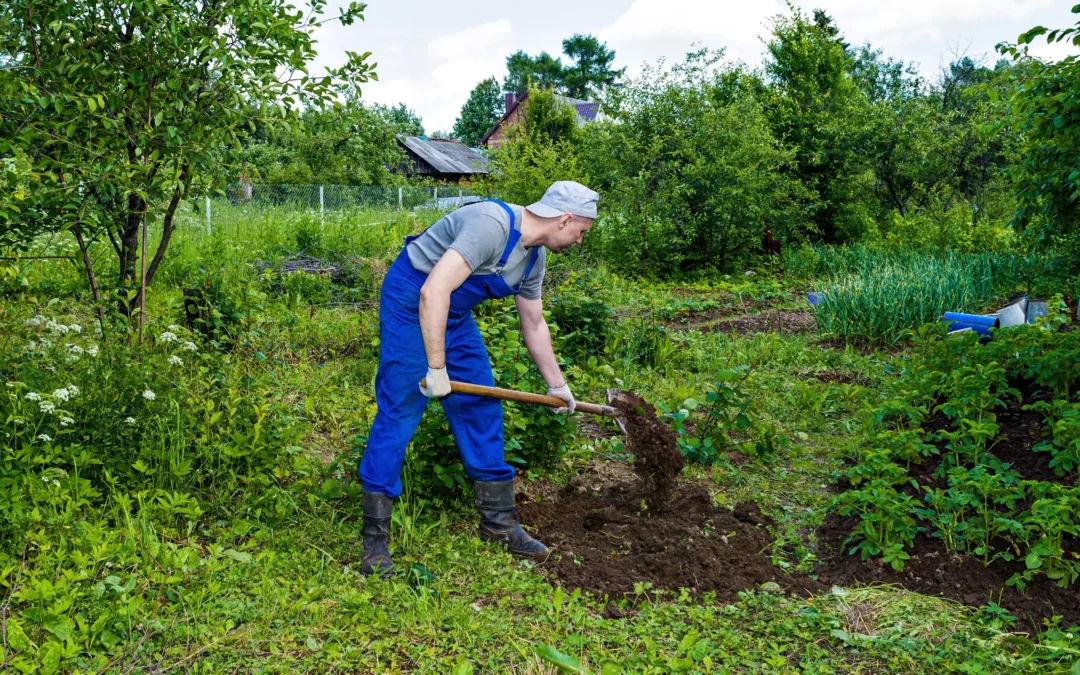 Jardinier travaillant la terre dans un potager à Prangins