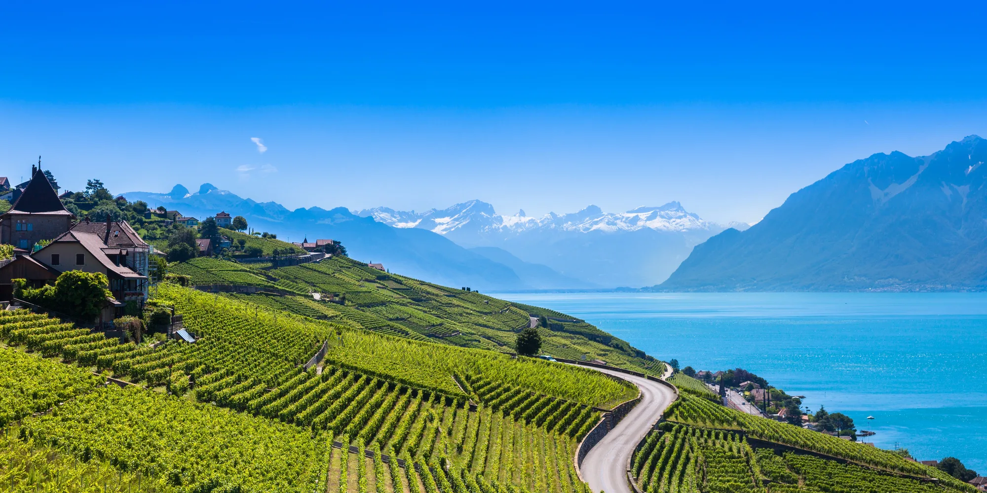 Paysage du Léman et des vignobles de La Côte près de Rolle